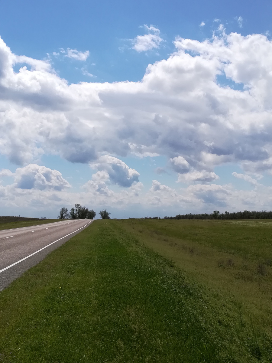 Под большим шатром