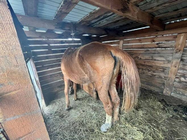    Источник фото: t.me/prim_police