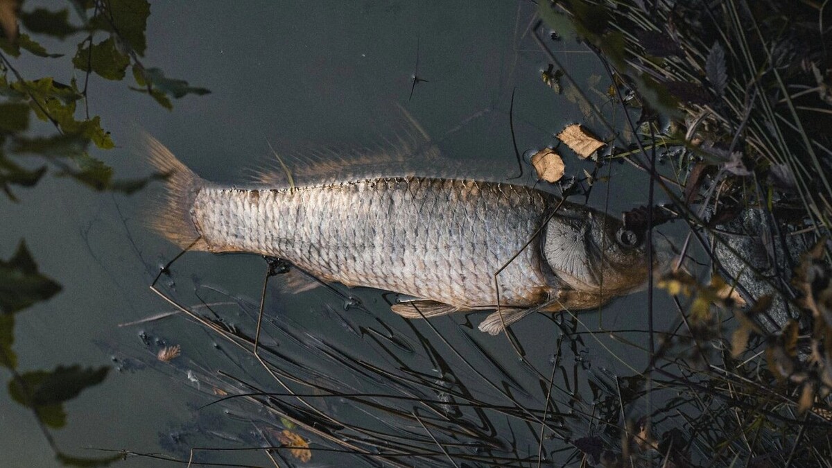     Автор: Unsplash