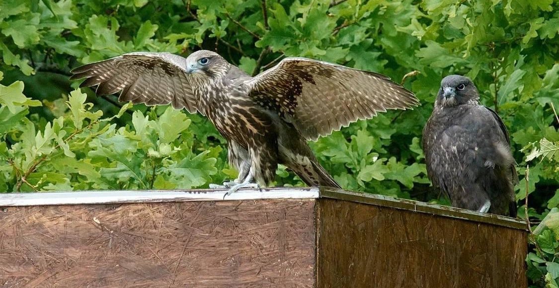    Фото: Минэкологии Татарстана