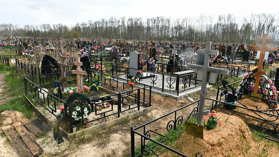 Фото: Пресс-служба мэрии Ярославля