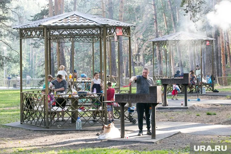 Горожане целыми семьями приезжают в Гилевскую рощу
Фото: Денис Моргунов © URA.RU