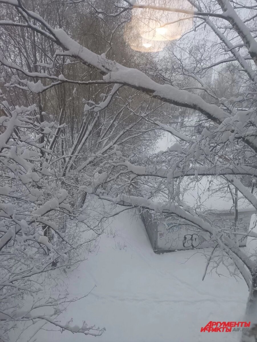    Фото:  АиФ/ Ольга Семёнова