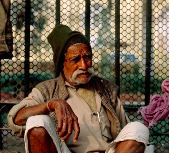 "Ты пчела — я пчеловод
А мы любим мёд"(с) Фото: Unsplash