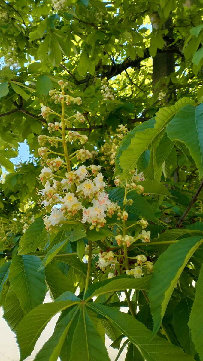 Традиционные весенние фоточки