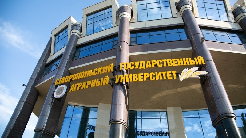    Осенью сотрудники вуза проведут серию мастер-классов в Египте Фото: Валерия Алтухова / / ИА «Победа26»