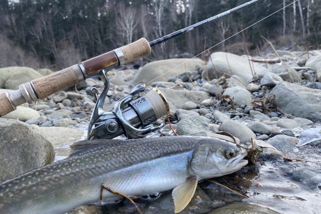 Рыбалка на гольца: прикормка, приманки и секреты успешной ловли