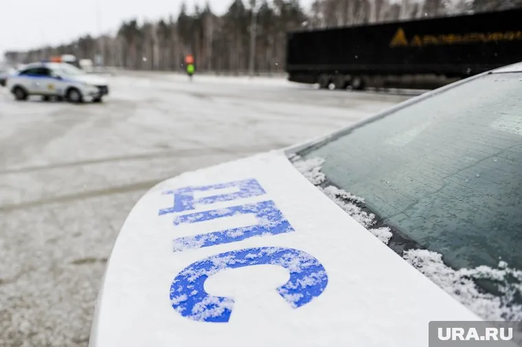 В Челябинской области завалило снегом федеральную трассу
Фото: Вадим Ахметов © URA.RU