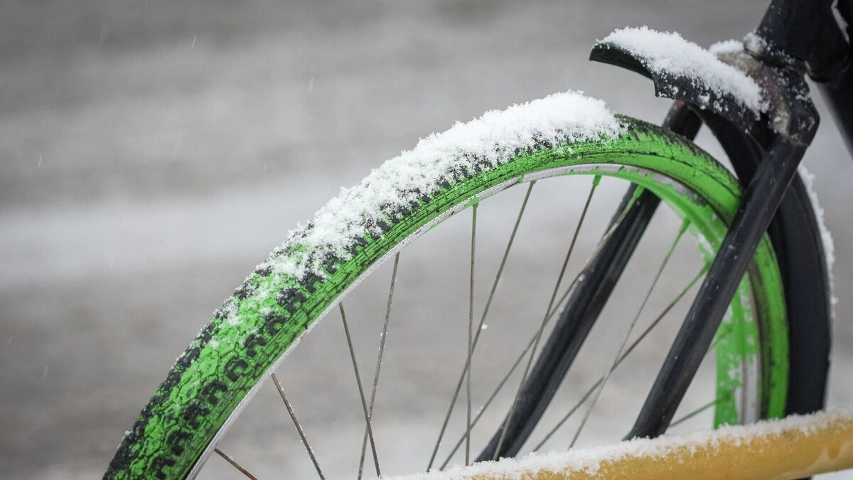     Источник: 1MI