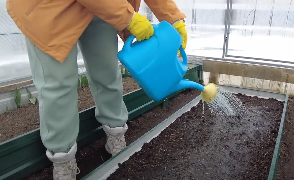 пролив почвы кипятком весной