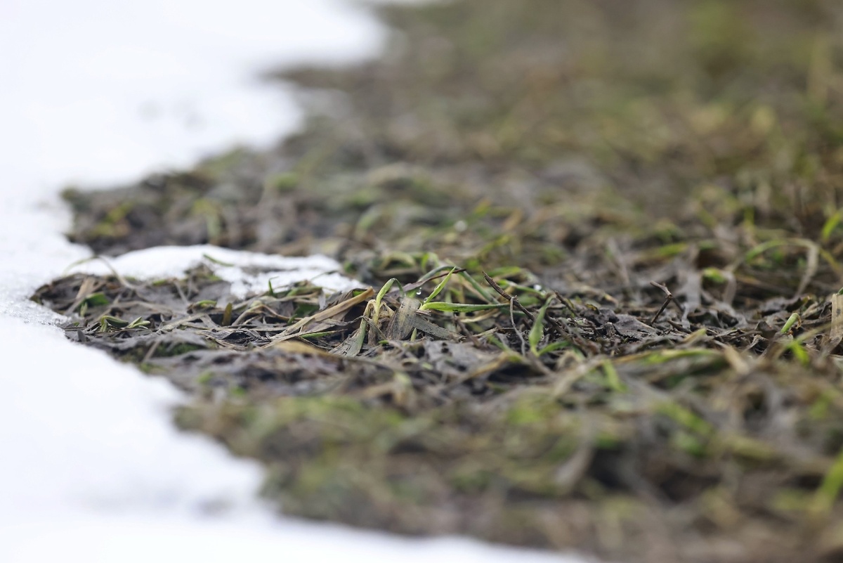 Автор фото: Павел Хацаюк / ИД «Вечерняя Казань»