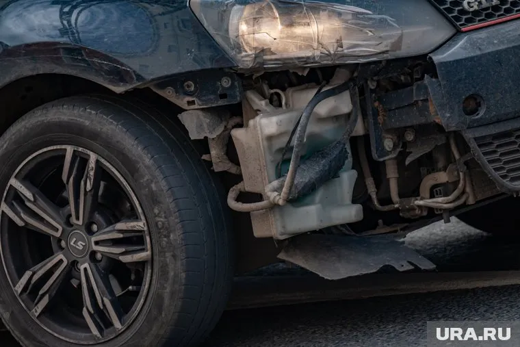 Полиция Кургана возбудили полтора десятка новых дел по группе Камшиловых
Фото: Руслан Яроцкий © URA.RU