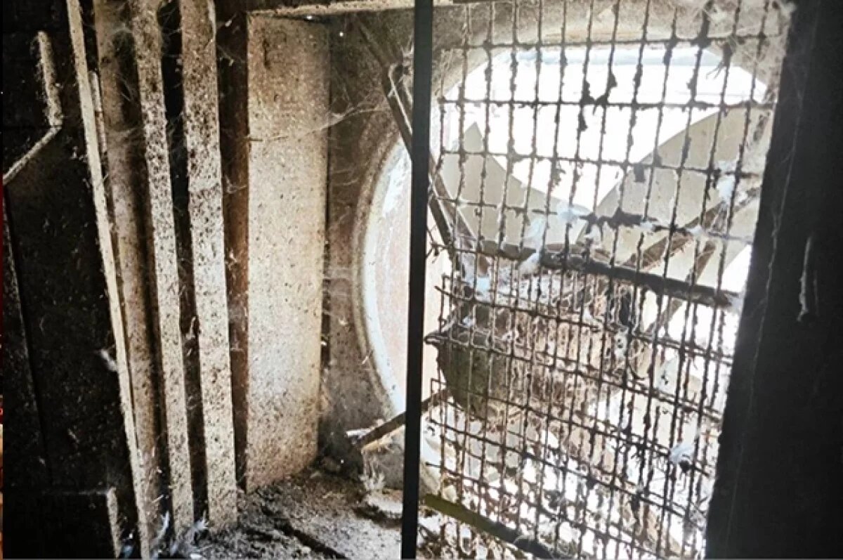    Хозяин птицефабрики в Илекском районе ответит за гибель ребенка