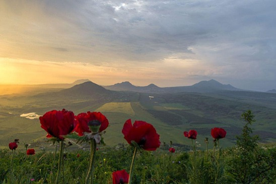 Фото: Иван Губский/ТАСС