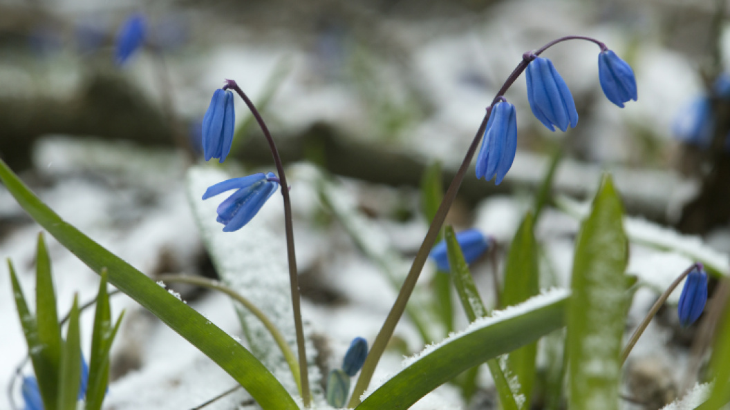    Фото: NIKOLAY GYNGAZOV/GLOBALLOOKPRESS