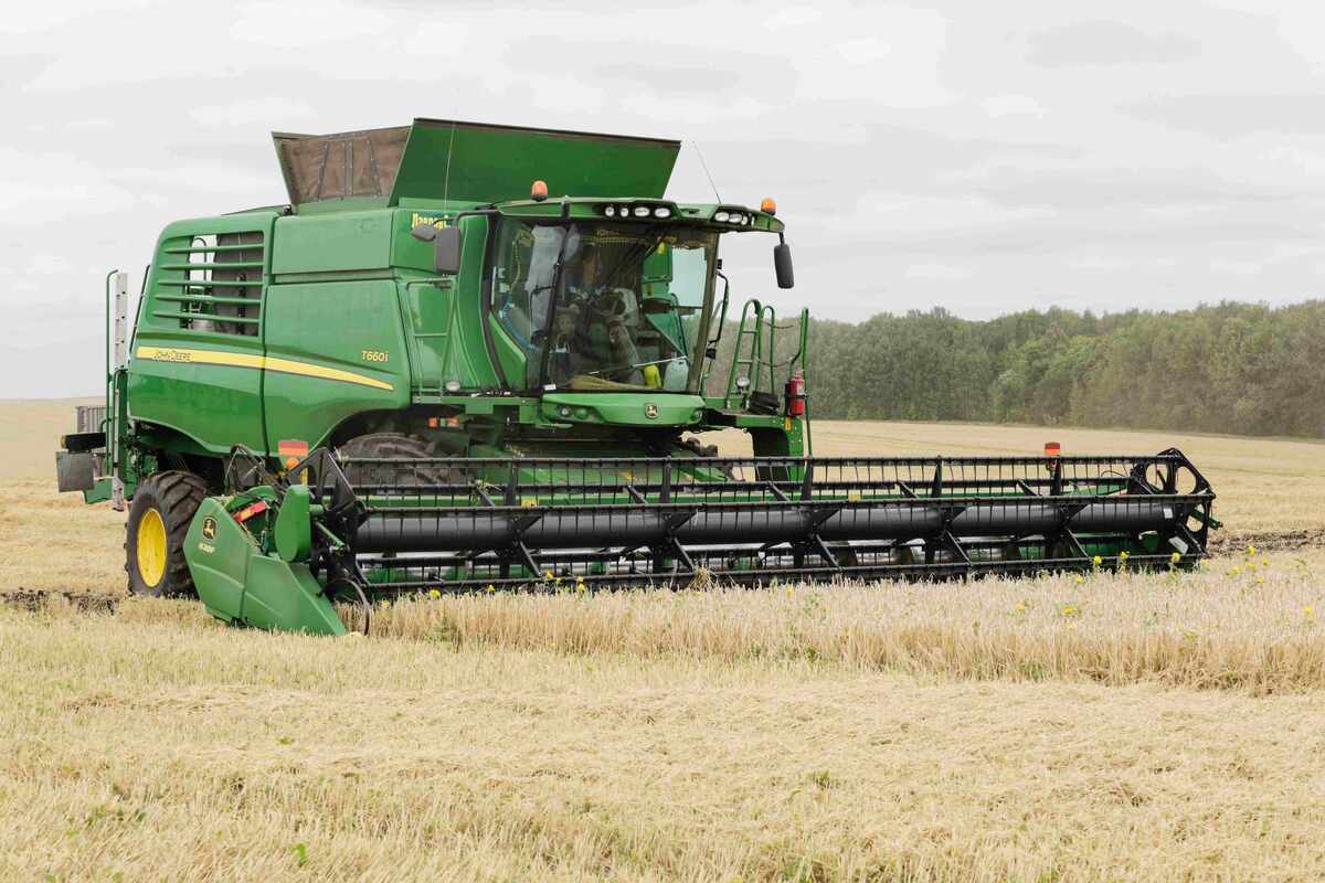 А остались бы в России — всем было бы лучше. Источник: Поле.РФ