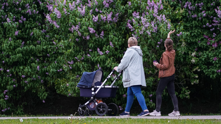    Фото: ИЗВЕСТИЯ/Сергей Лантюхов