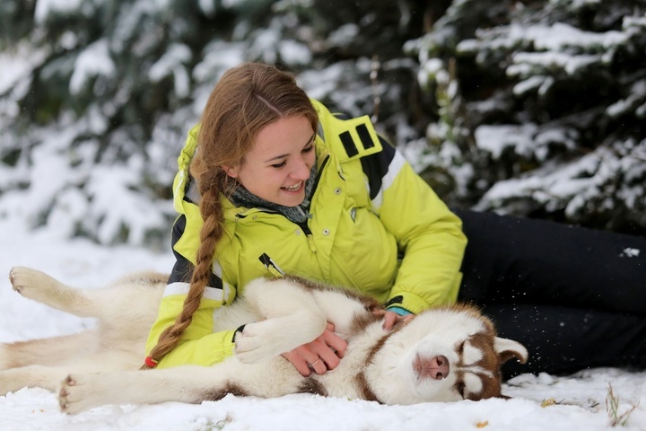 Сейчас у нас дома 7 собак, в вольере - 27