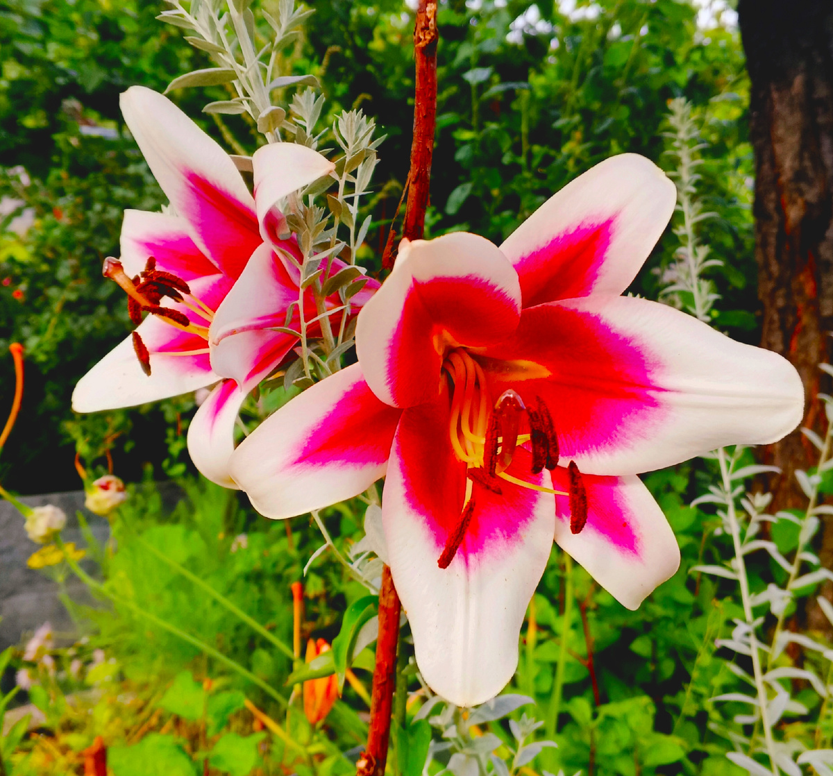 Фото автора 1.