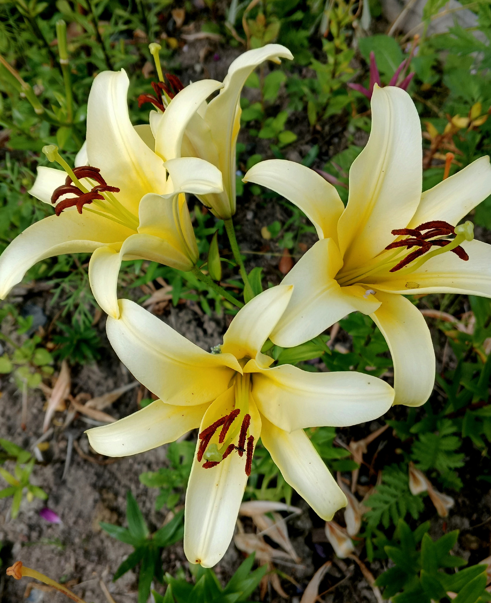 Фото автора 2.