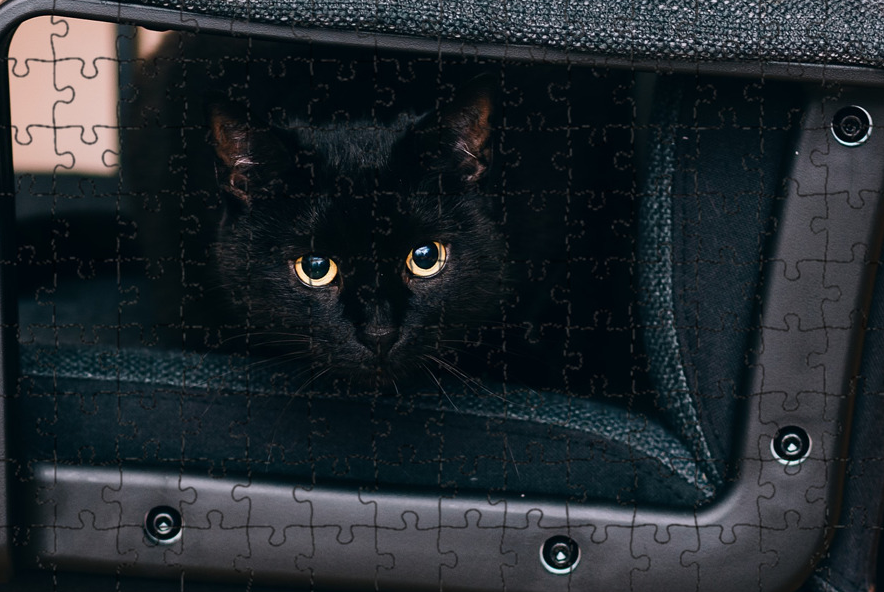 Картинка из интернета