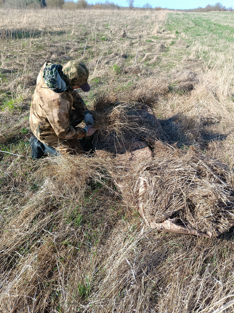 маскировка - нашё всё!