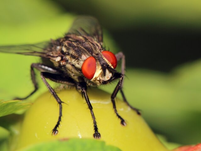    Фото: depositphotos/ehabedward