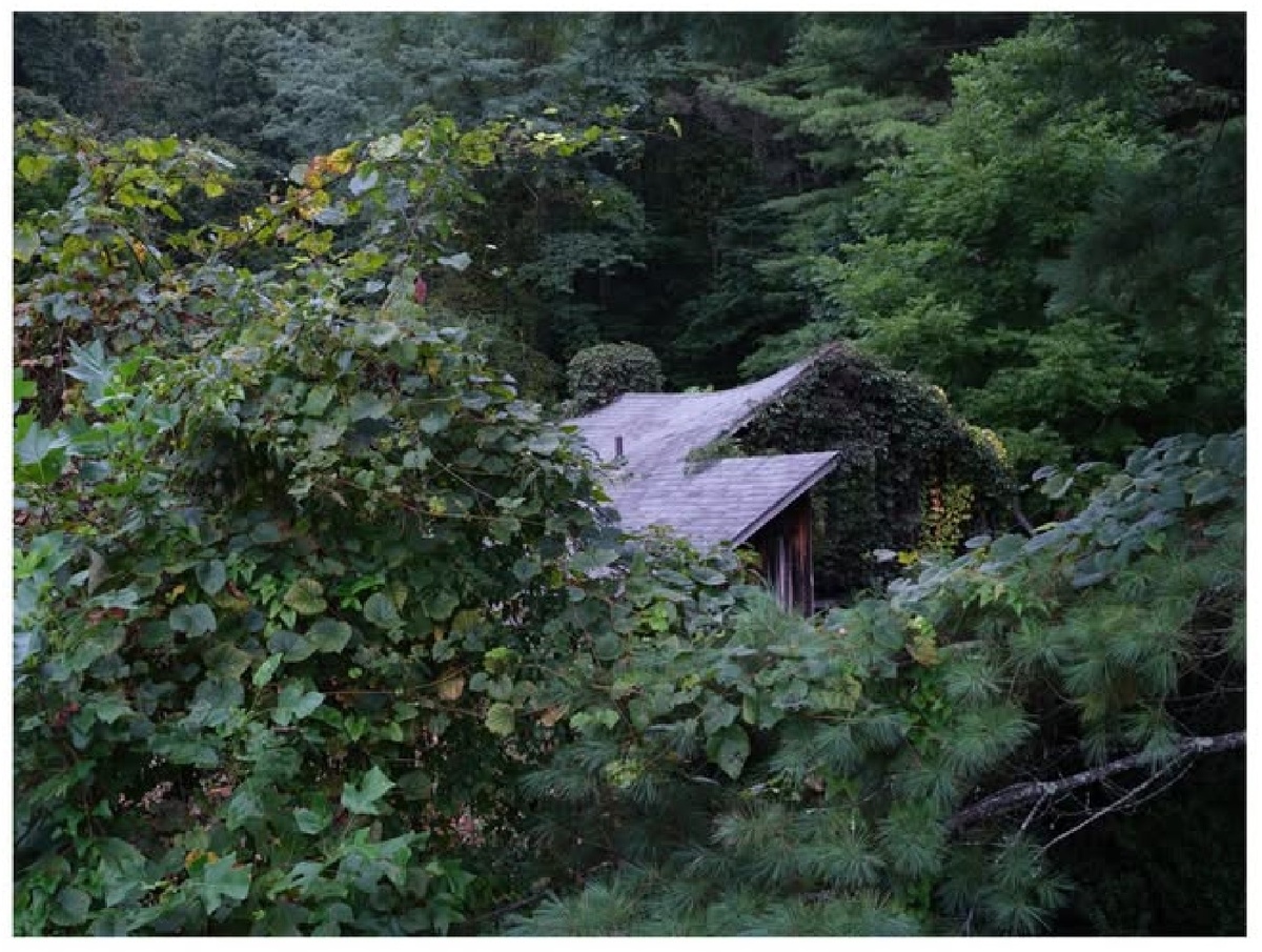 Захороненный дом, Милл-Крик-роуд, округ Мэдисон, Северная Каролина, 2022 г.