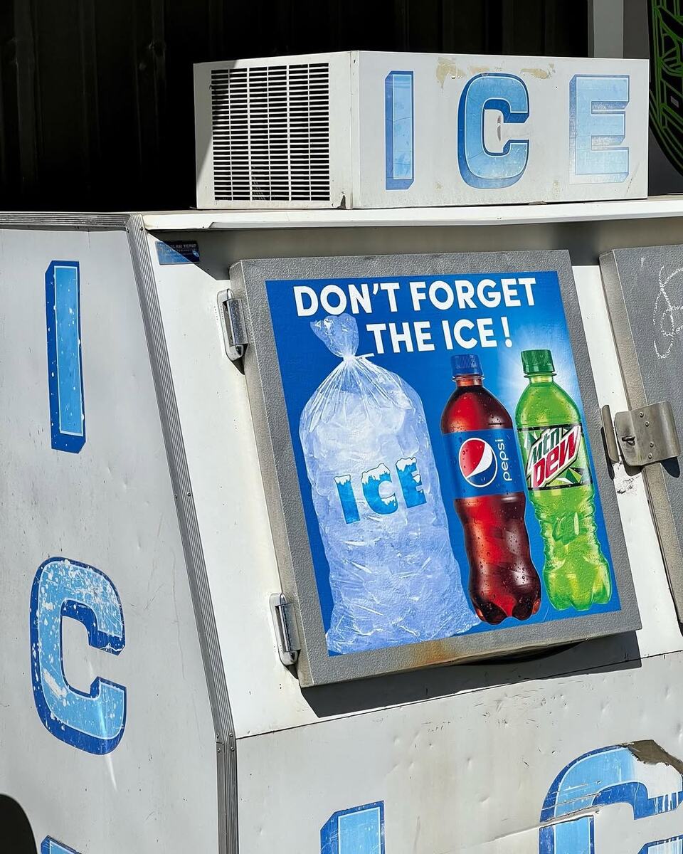 Тропа реки Лорел, национальный лес Фасги, 2022 г.