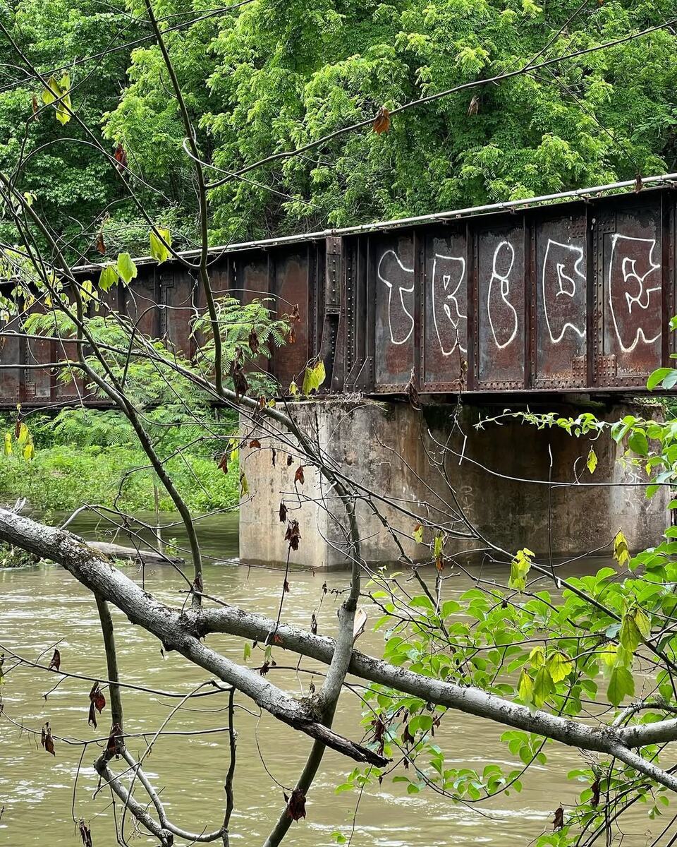 Тропа реки Лорел, национальный лес Фасги, 2022 г.