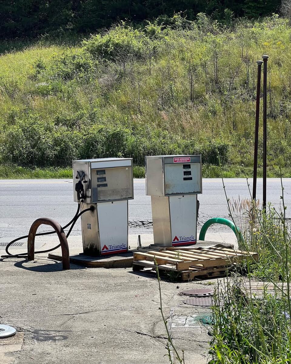 Тропа реки Лорел, национальный лес Фасги, 2022 г.