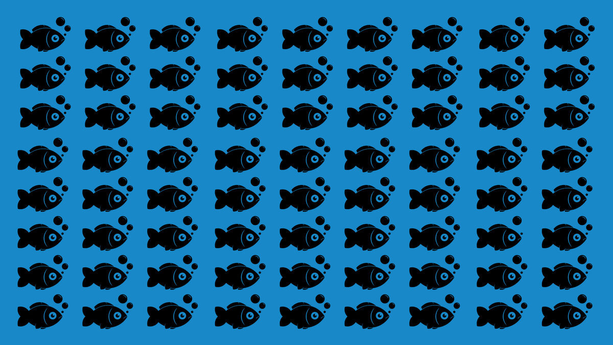 Какое изображение отличается от остальных?