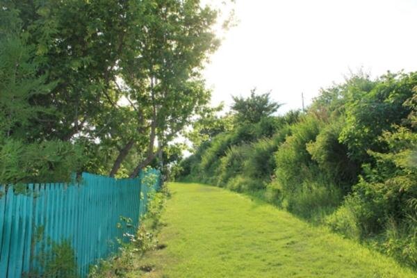    Иллюстрация фотобанка Ростовского отделения СЖР admin