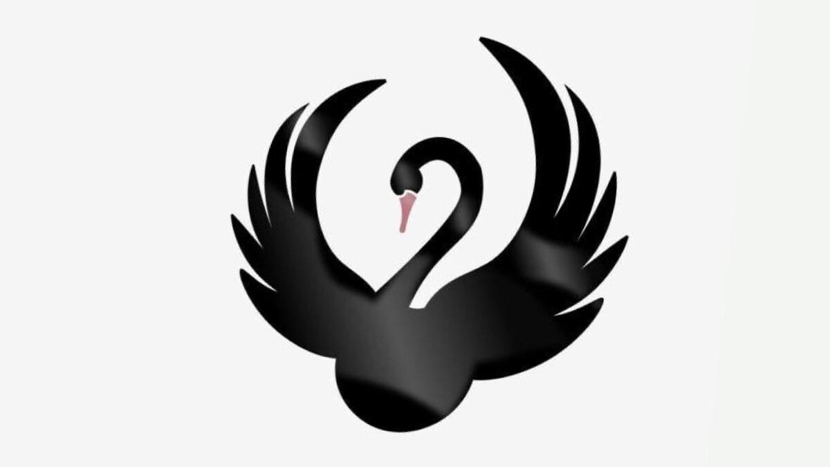 по мотивам книги Насима Талеба "Черный лебедь"