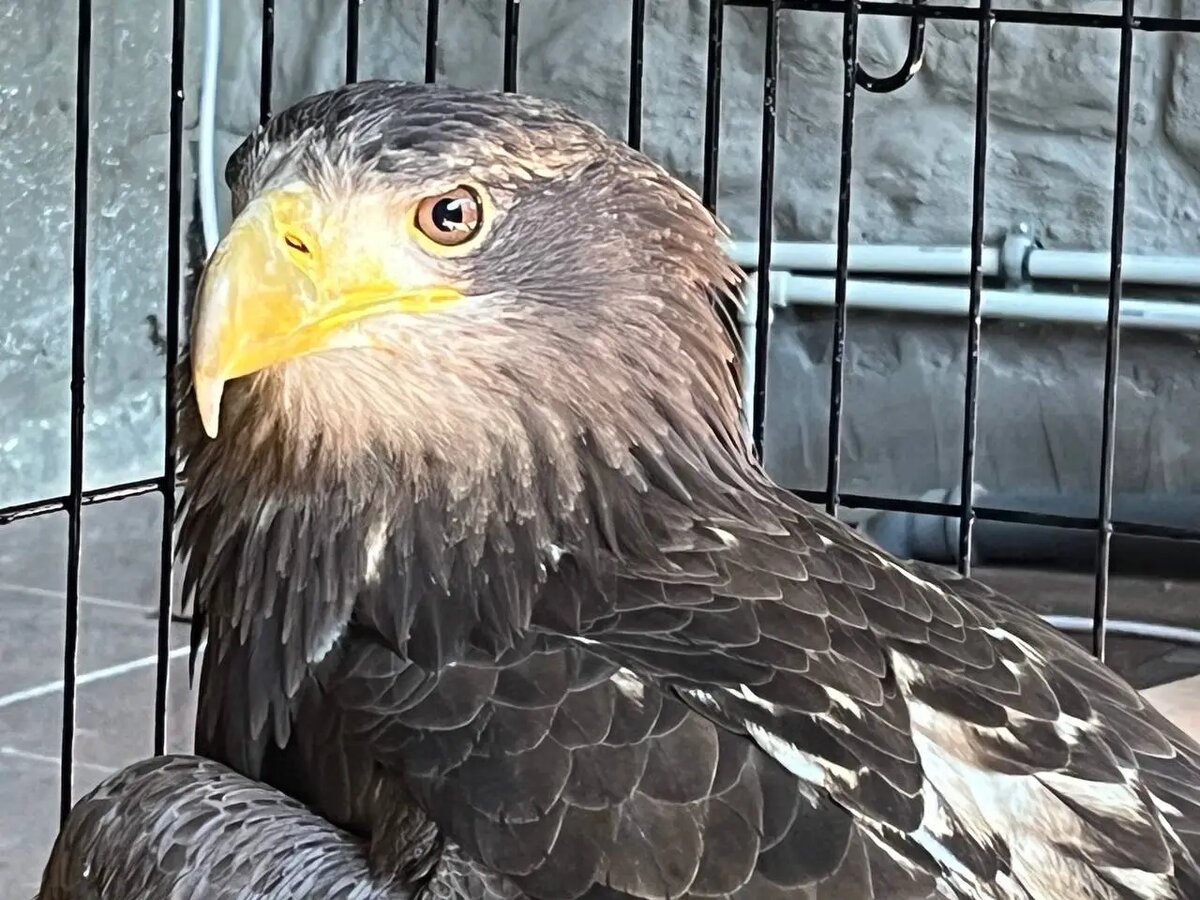     © Сочинское географическое общество. Александр Блинов