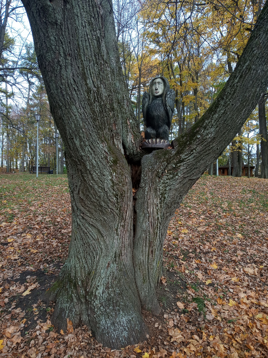 В ЦПКиО Рузы