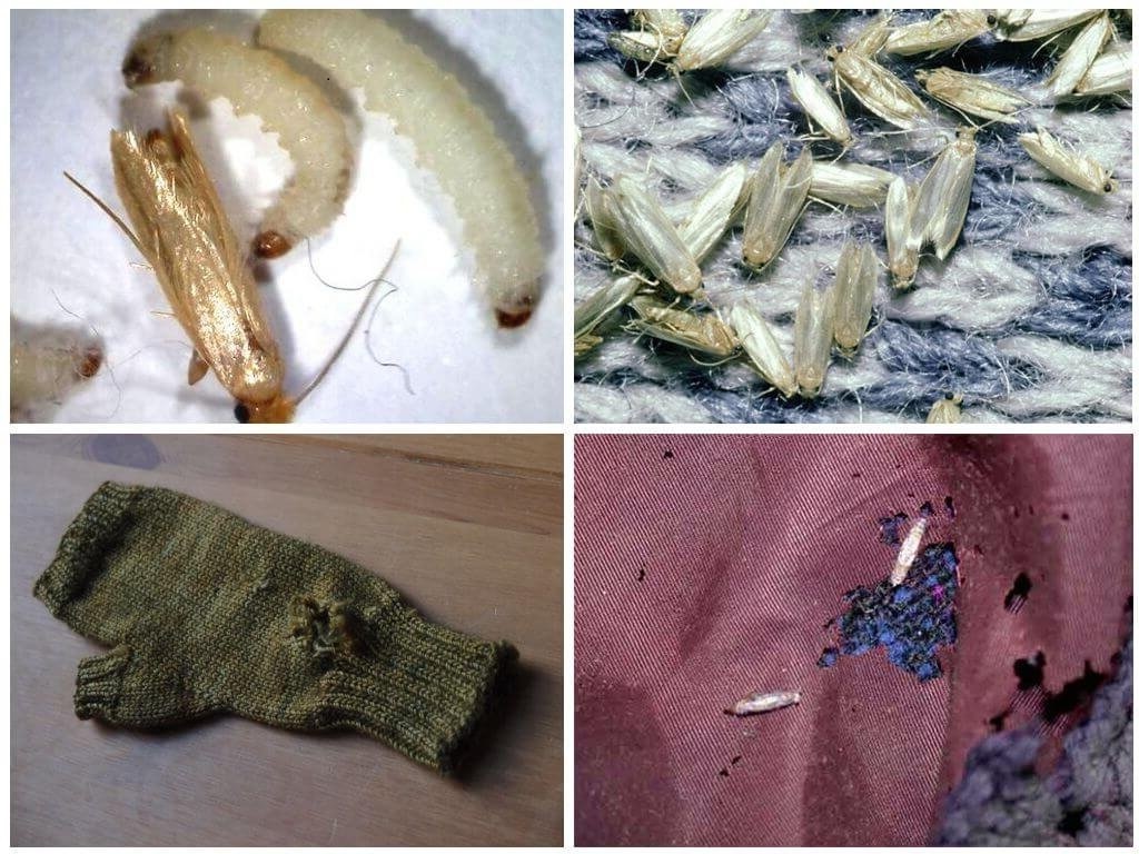 Источник Яндекс.фото