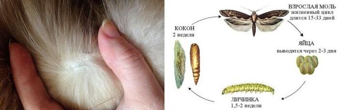 Источник Яндекс.фото