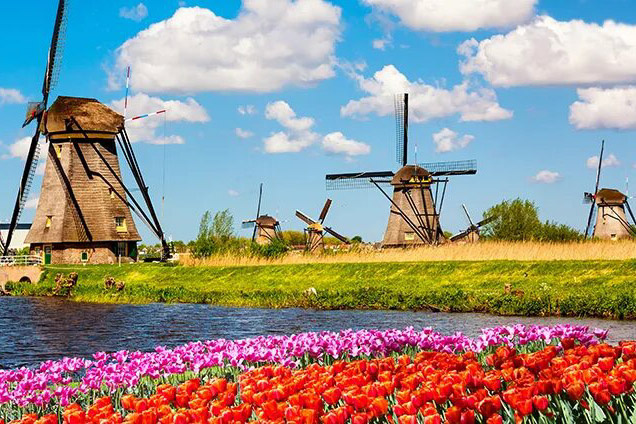 Фото с Голландских сайтов картинок.