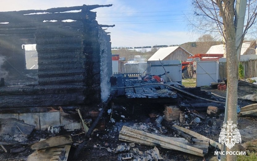    Пес Трамп спас двух пенсионеров на пожаре в Удмуртии