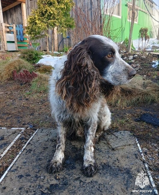  Тот самый Трамп. Фото: пресс-служба ГУ МЧС по Удмуртии