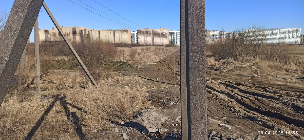 В январе выкинули гору елок. Они и сейчас там лежат г. Бугры. ул. Новостроек