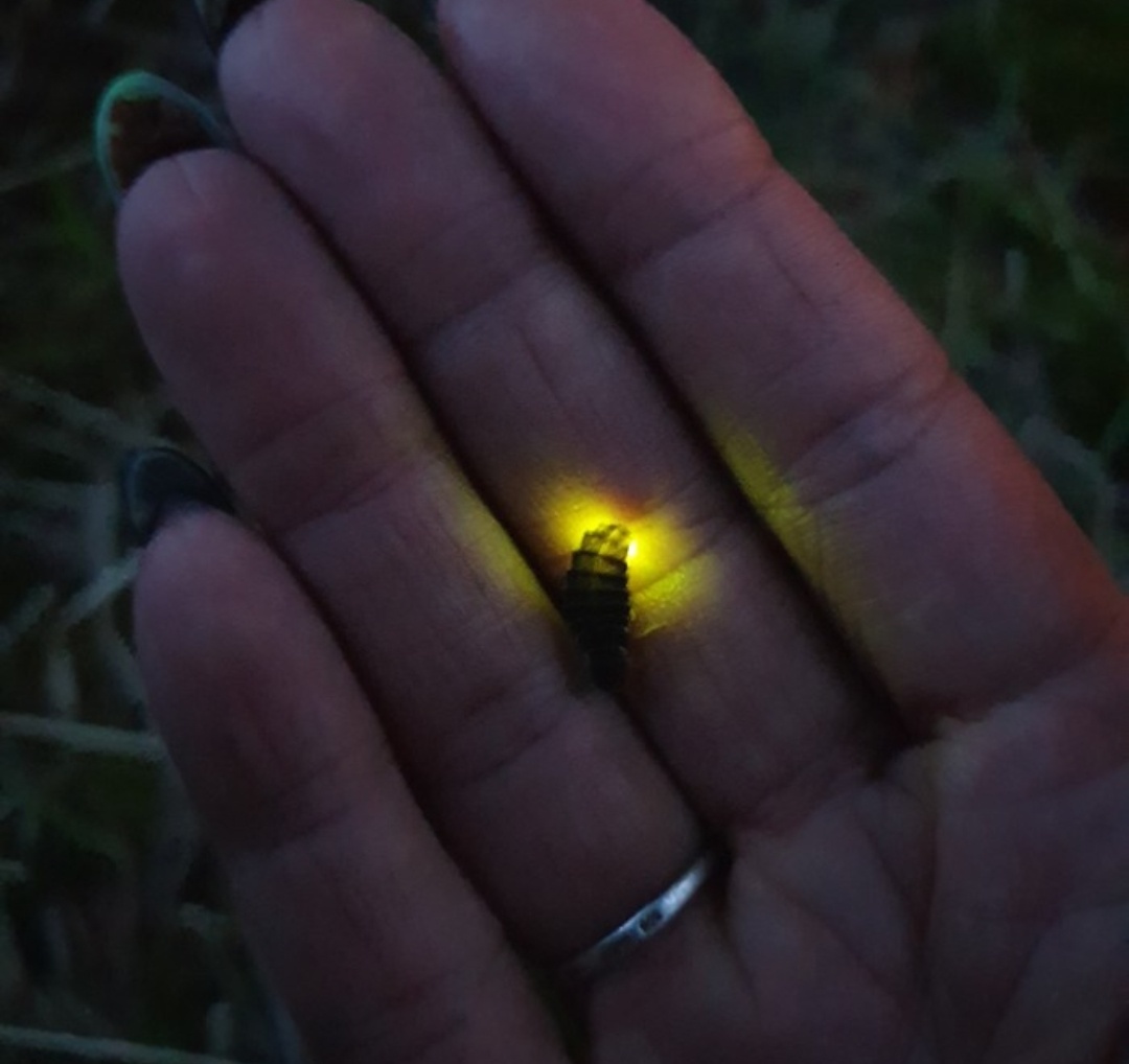 Фото из интернета 