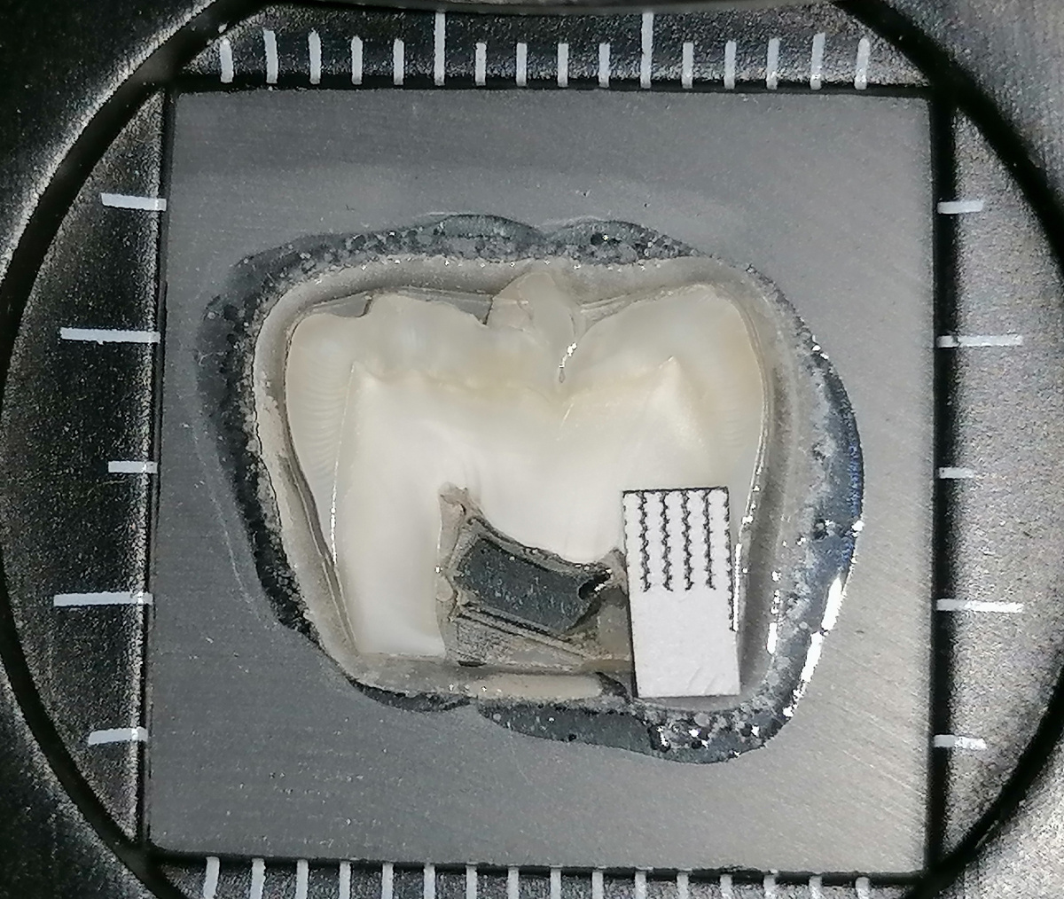 Сформированный плоскопараллельный сегмент зубной твердой ткани. Источник: Павел Середин