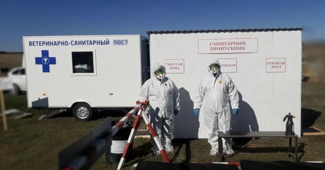     Автор: Управление ветеринарии Ставропольского края