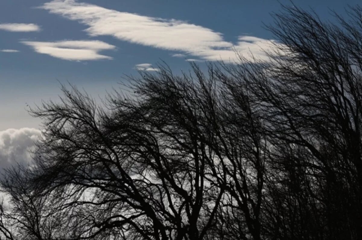    МЧС предупреждает о сильном штормовом ветре в Красноярском крае 30 апреля