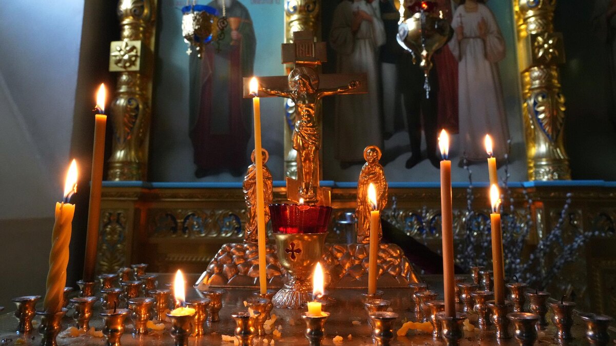 Фото: ИЗВЕСТИЯ/Дмитрий Коротаев