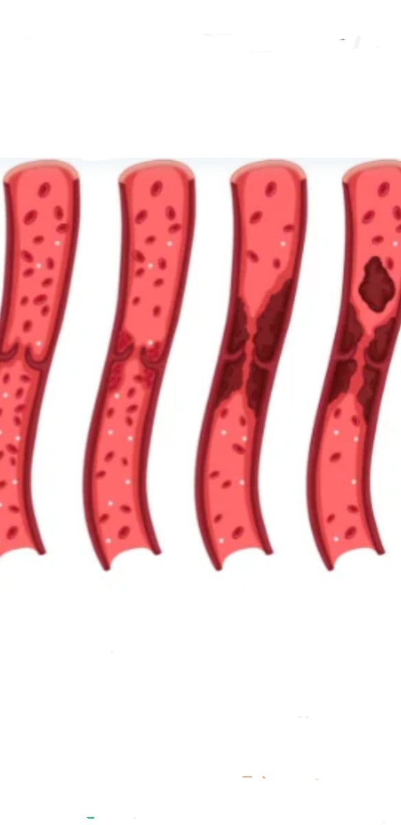 Фото с интернета.