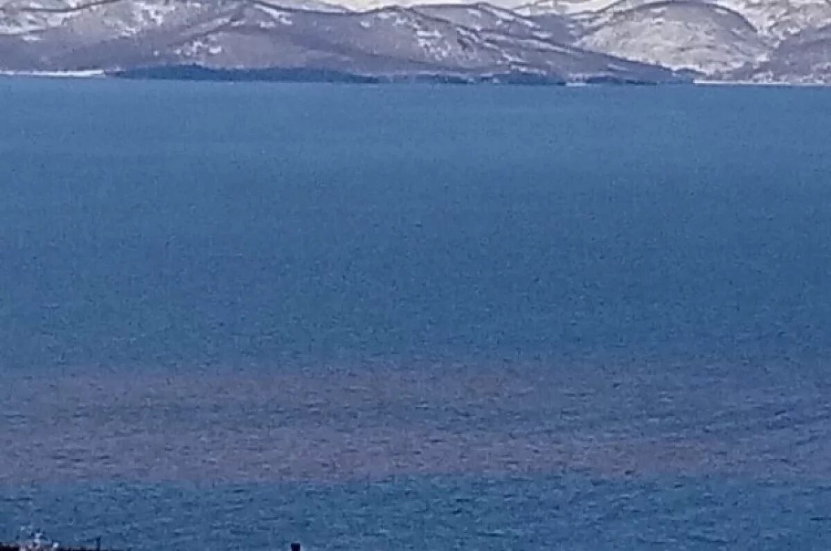    Авачинская губа на Камчатке окрасилась в красный цвет из-за инфузорий