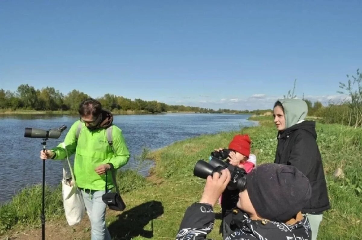    В рамках всероссийской акции в Калининграде очистили берега Деймы